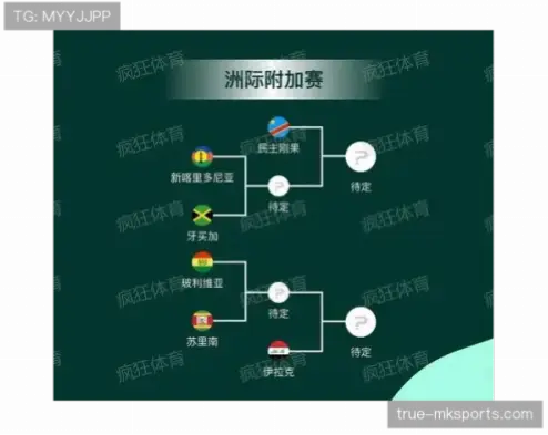 国际足联世界杯举办周期与参赛资格详解